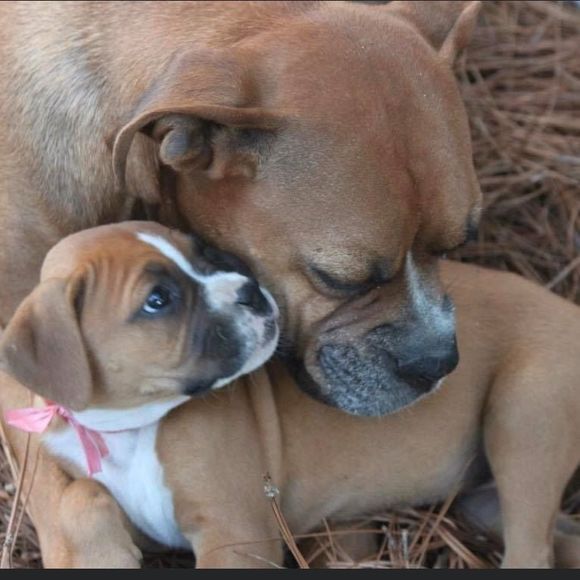 Meet your Posher, Joanna - Picture 1 of 1